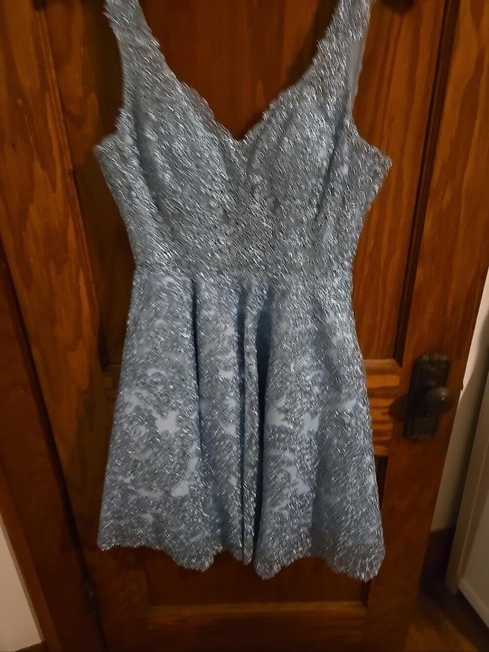 Camille La Vie Silver Lace V-Neck Mini Dress